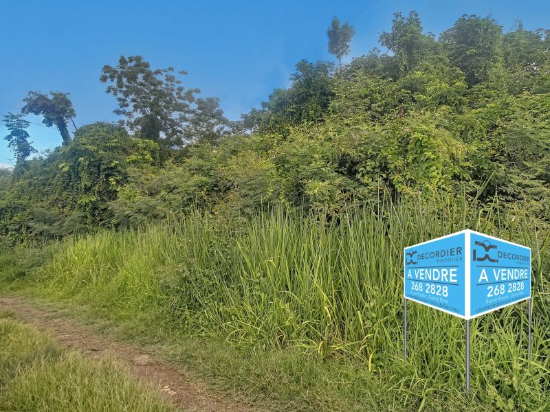terrain en vente sur Calodyne Calodyne Terrain 2532 m² Vente