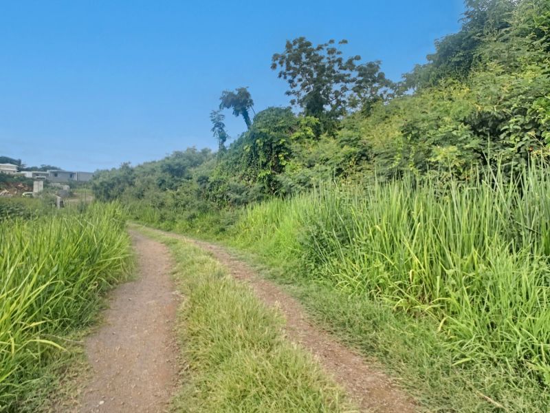 terrain en vente sur Calodyne Calodyne Terrain 2532 m² Vente