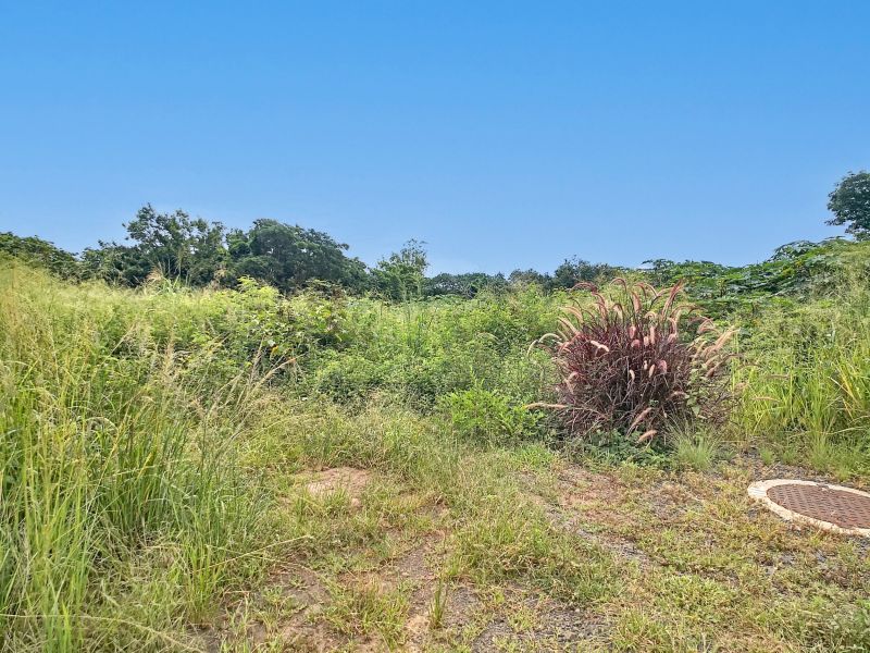 terrain en vente sur Grand Baie Grand Baie Terrain 1967.5 m² Vente