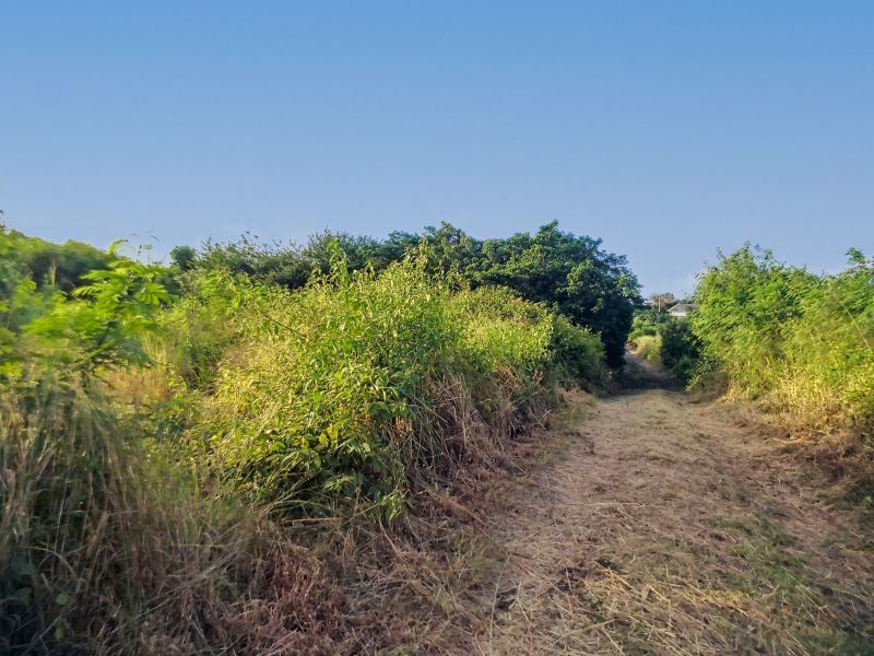 Calodyne Terrain à bâtir 2580 m² Vente