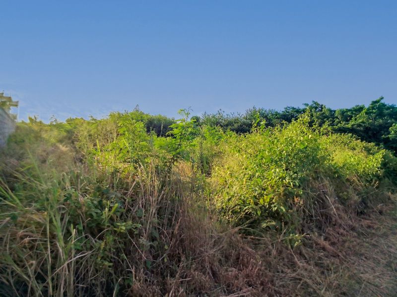 Calodyne Land 2580 m² Sale