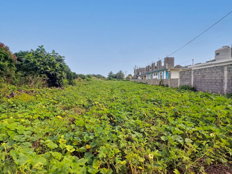 The Vale Land 2361.6&nbsp;m² Sale