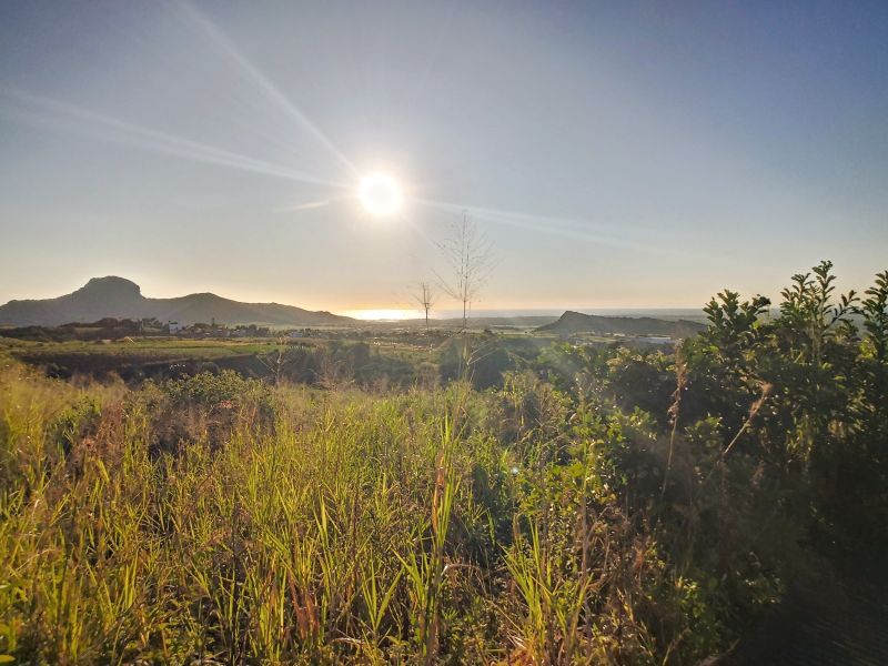 terrain en vente sur Les Mariannes Les Mariannes Terrain 3039 m² Vente