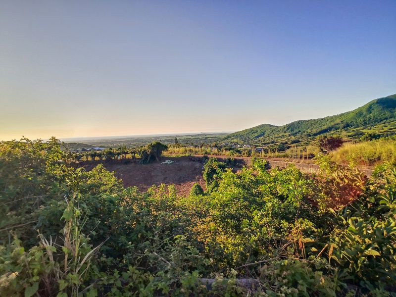 terrain en vente sur Les Mariannes Les Mariannes Terrain 3039 m² Vente