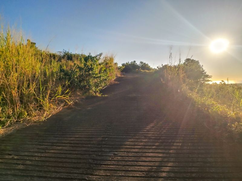 terrain en vente sur Les Mariannes Les Mariannes Terrain 3039 m² Vente