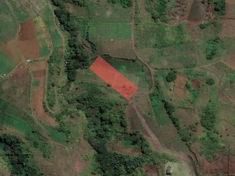 terrain en vente sur Les Mariannes Les Mariannes Terrain 3039 m² Vente