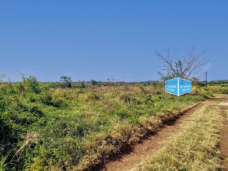 terrain en vente sur The Vale The Vale Terrain 1055 m² Vente
