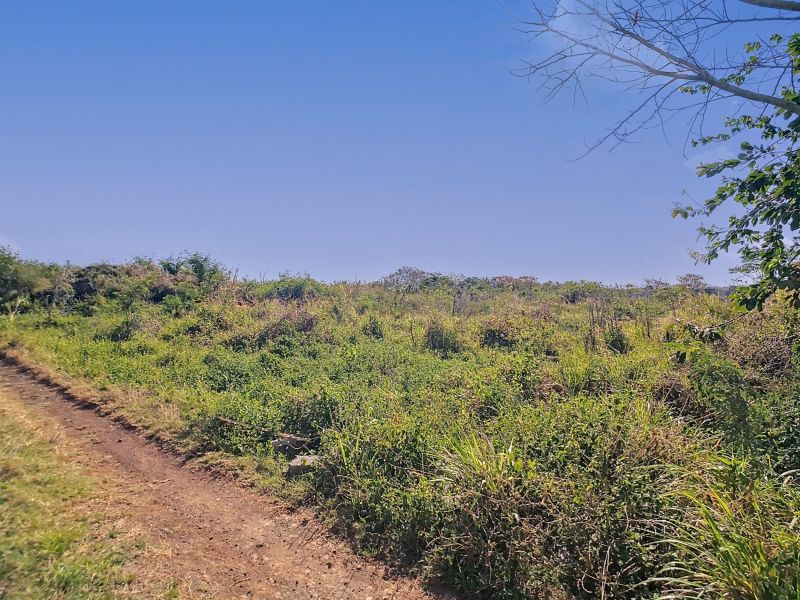 terrain en vente sur The Vale The Vale Terrain 1055 m² Vente