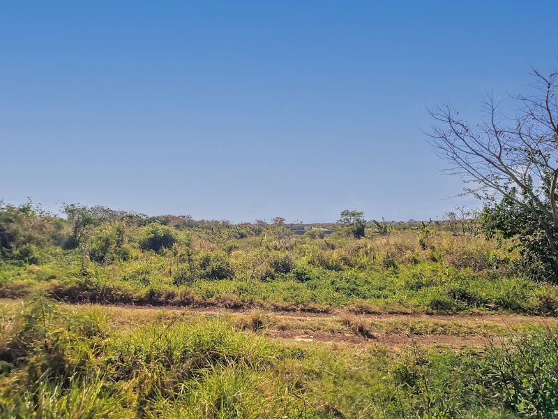 terrain en vente sur The Vale The Vale Terrain 1055 m² Vente