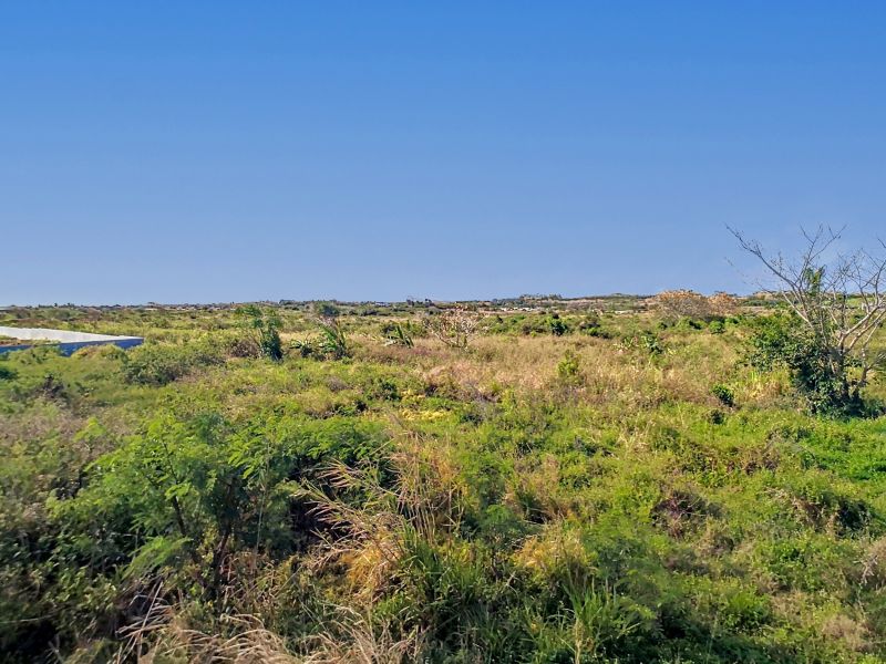 terrain en vente sur The Vale The Vale Terrain 1055 m² Vente