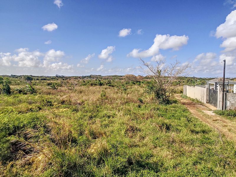 terrain en vente sur The Vale The Vale Terrain 1055 m² Vente