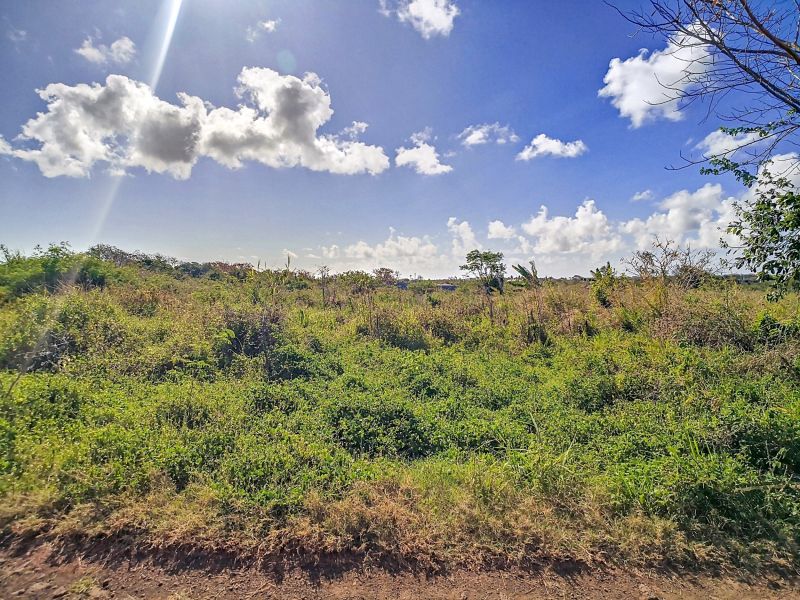 terrain en vente sur The Vale The Vale Terrain 1055 m² Vente