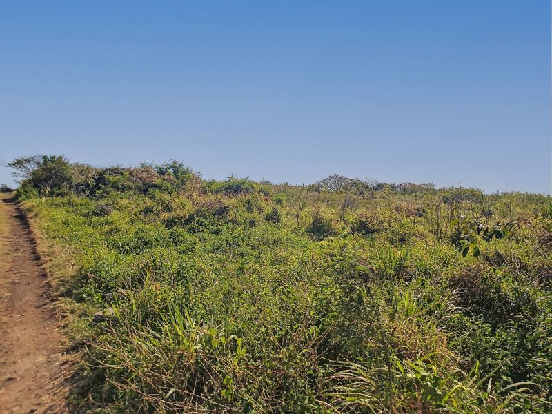 terrain en vente sur The Vale The Vale Terrain 1055 m² Vente