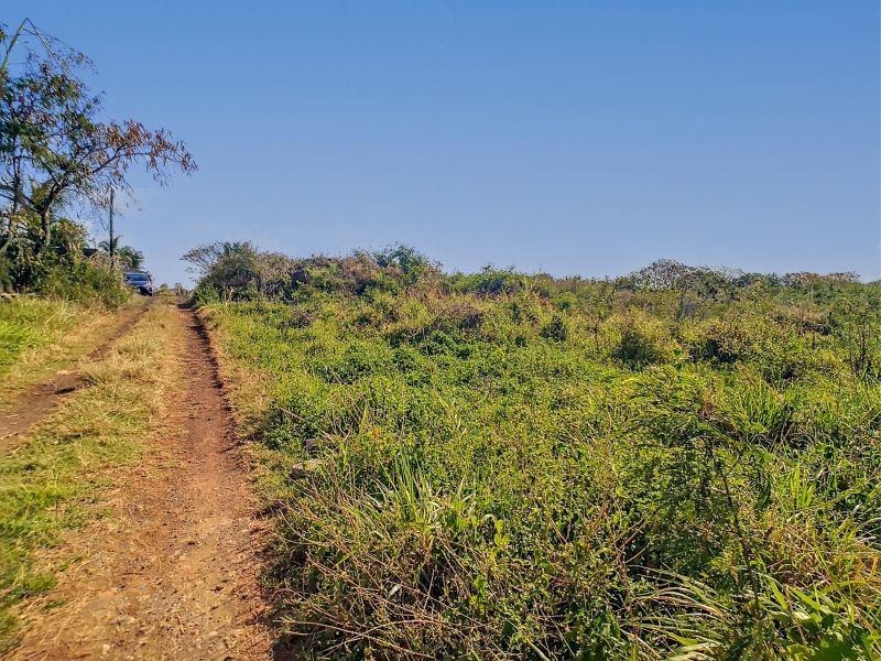 terrain en vente sur The Vale The Vale Terrain 1055 m² Vente