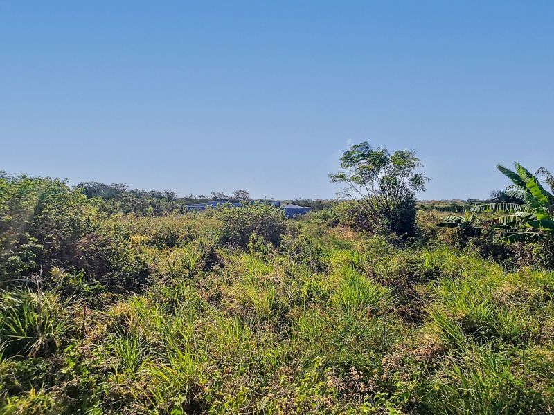 terrain en vente sur The Vale The Vale Terrain 1055 m² Vente