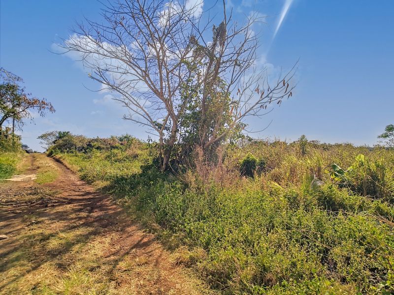 terrain en vente sur The Vale The Vale Terrain 1055 m² Vente