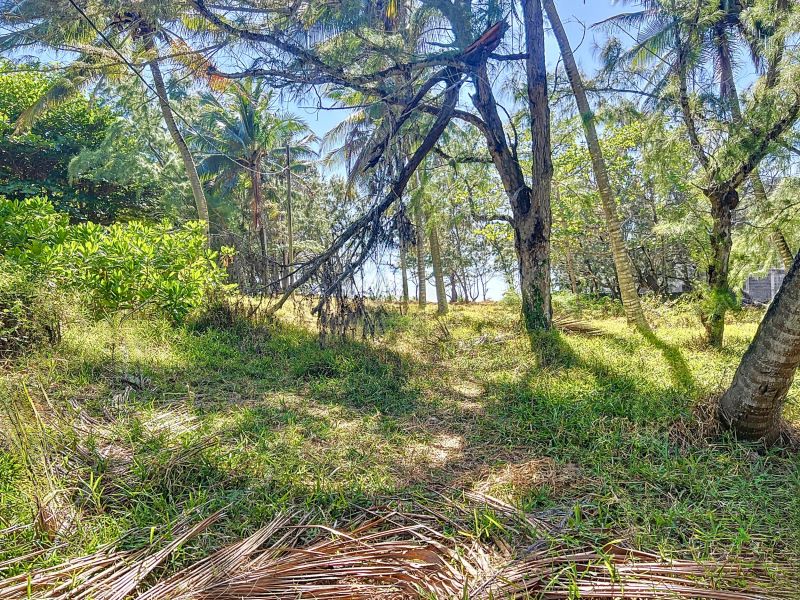 Poste Lafayette Terrain 5000 m² Vente