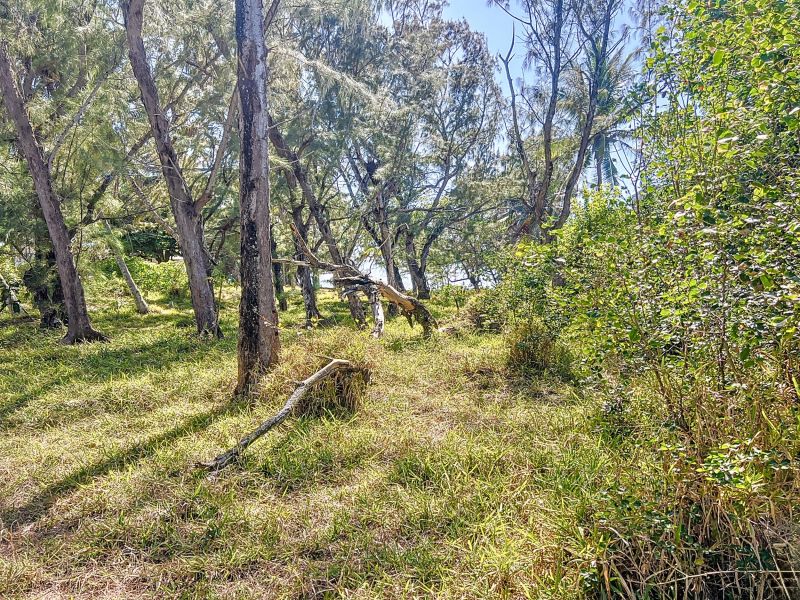 Poste Lafayette Terrain 5000 m² Vente