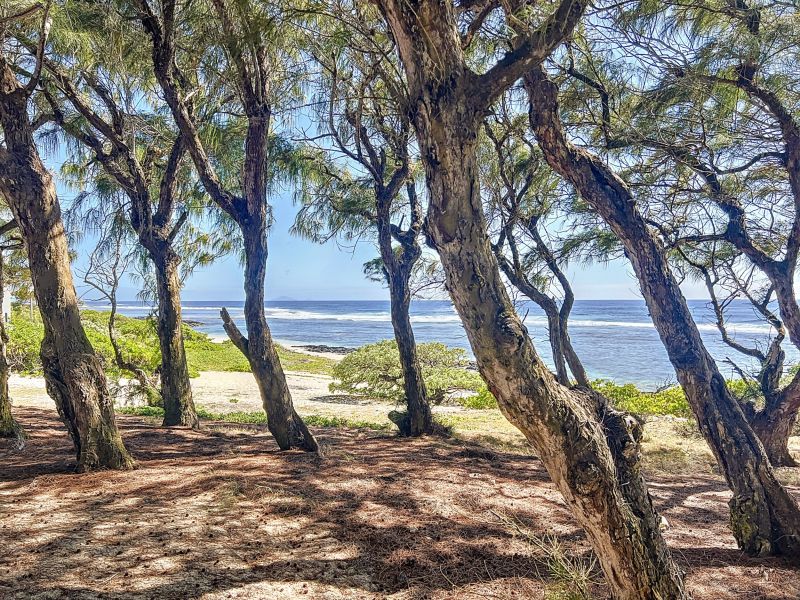 Poste Lafayette Terrain 5000 m² Vente