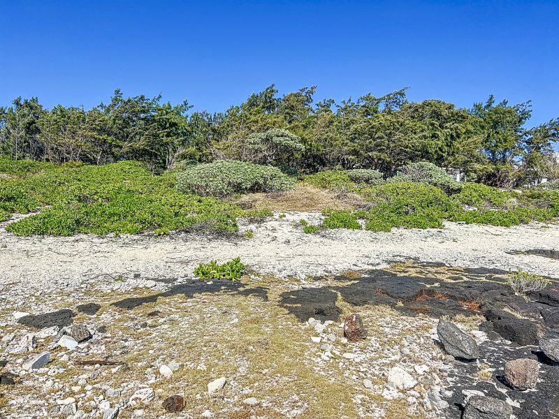 Poste Lafayette Terrain 5000 m² Vente