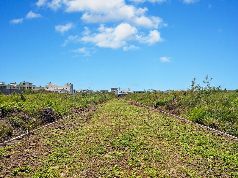 Mont Choisy Terrain 422 m² Vente