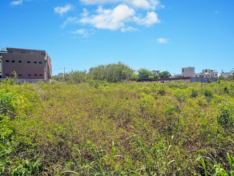 Mont Choisy Terrain 422 m² Vente