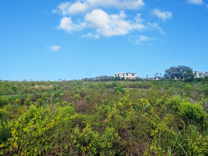 Mont Choisy Terrain 422 m² Vente