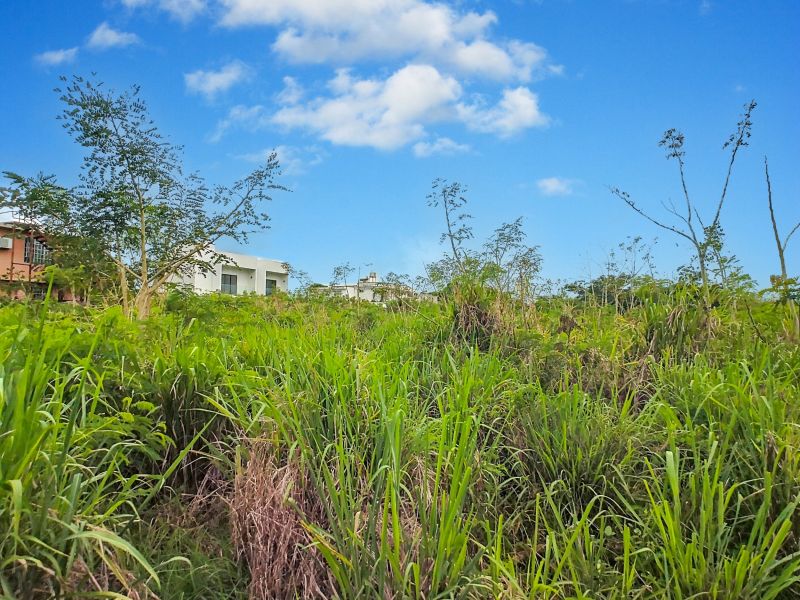 terrain en vente sur Baie du Tombeau Baie du Tombeau Terrain 2808 m² Vente