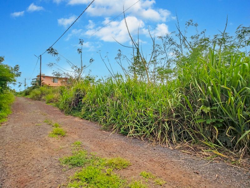 terrain en vente sur Baie du Tombeau Baie du Tombeau Terrain 2808 m² Vente