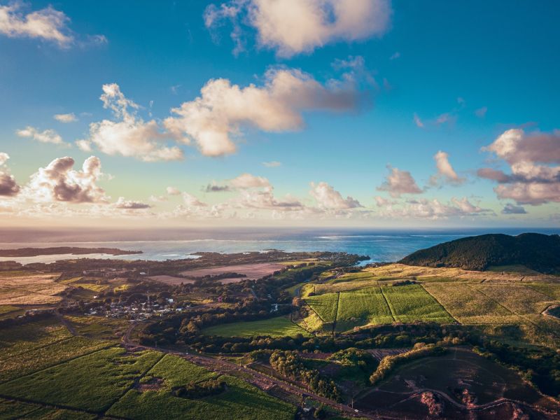 Beau Champ Terrain 5275 m² Vente