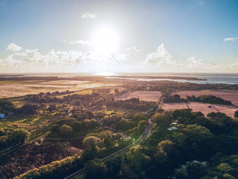 Beau Champ Terrain 5275 m² Vente