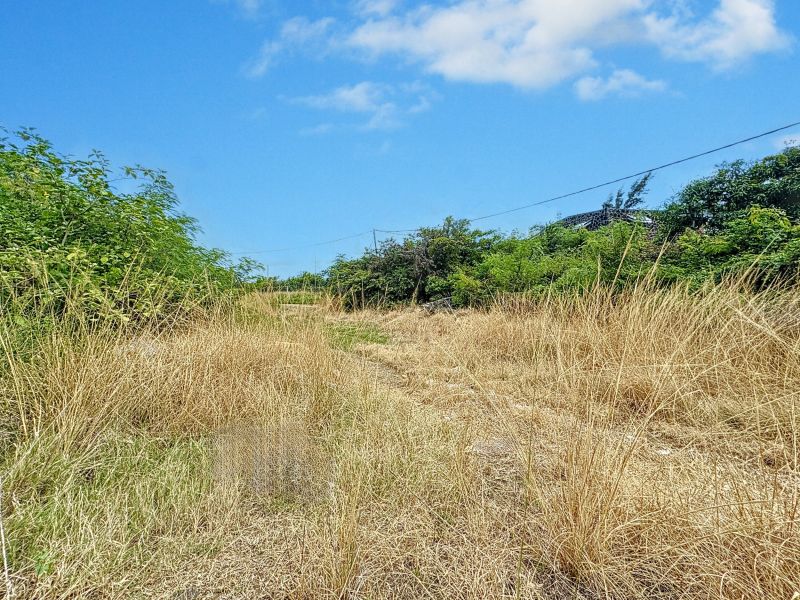 terrain en vente sur Pereybere Pereybere Terrain 2165.95 m² Vente