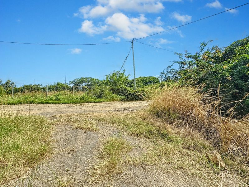 terrain en vente sur Pereybere Pereybere Terrain 2165.95 m² Vente