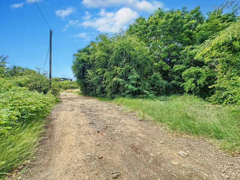 terrain en vente sur Pereybere Pereybere Terrain 2165.95 m² Vente