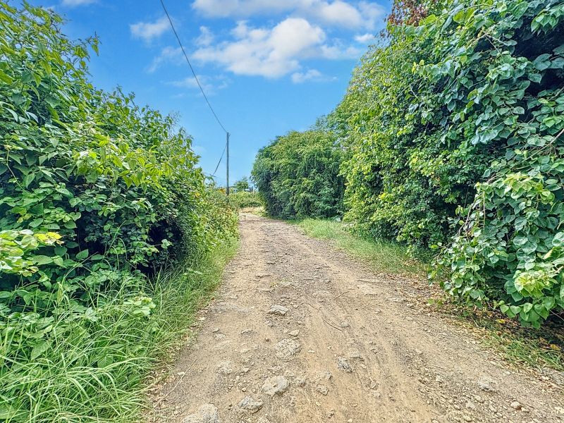 terrain en vente sur Pereybere Pereybere Terrain 2165.95 m² Vente