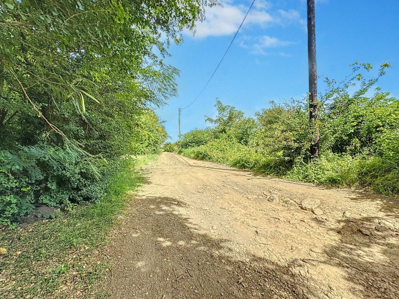 terrain en vente sur Pereybere Pereybere Terrain 2165.95 m² Vente