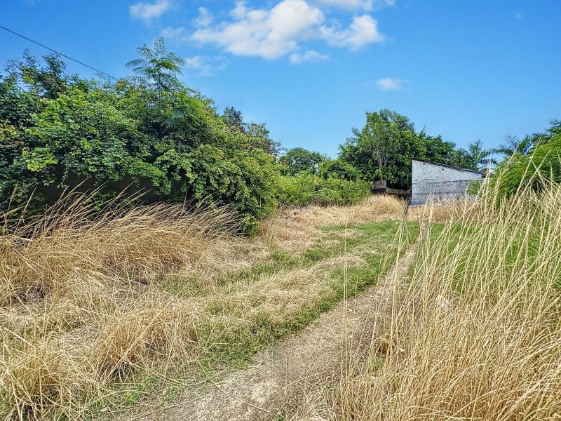 terrain en vente sur Pereybere Pereybere Terrain 2165.95 m² Vente