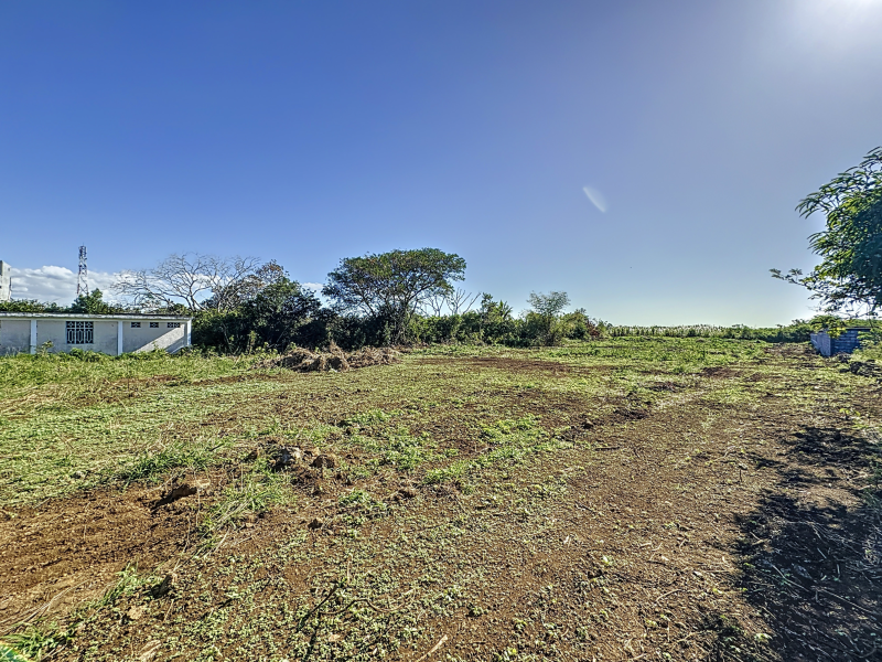 Petit Raffray Terrain 543 m² Vente