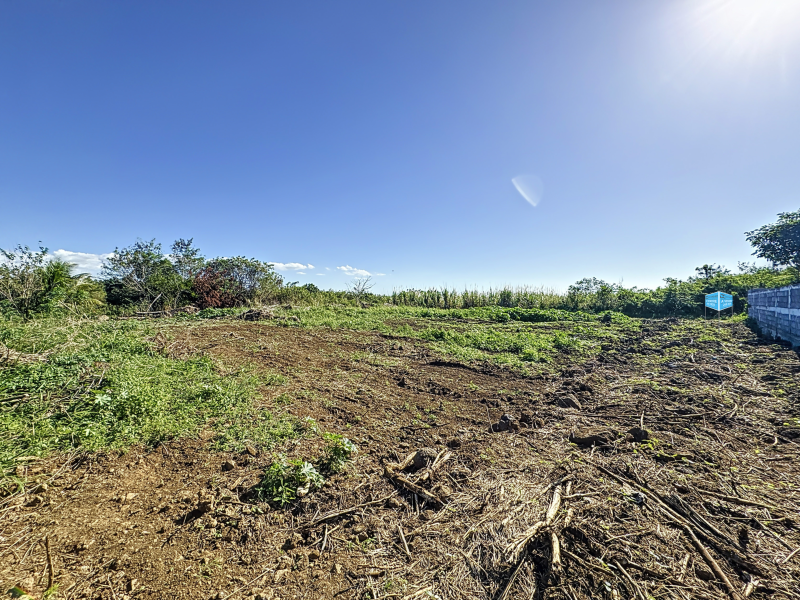 Petit Raffray Terrain 543 m² Vente