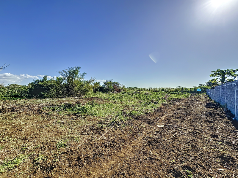 Petit Raffray Terrain 543 m² Vente