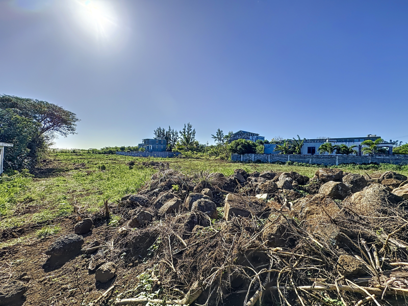 Petit Raffray Terrain 543 m² Vente