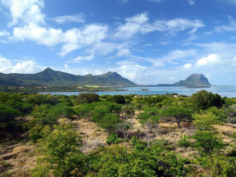 Rivière Noire House 5&nbsp;rooms 507&nbsp;m² Sale