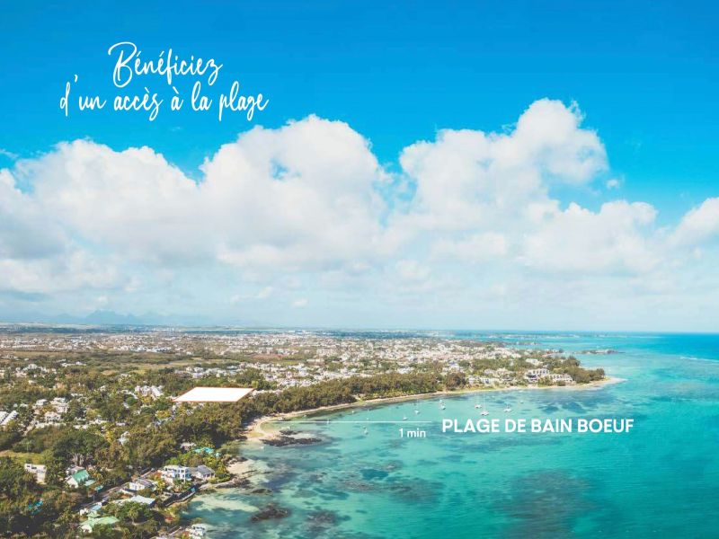 Bain Boeuf Appartement 1 pièce 46 m² Vente