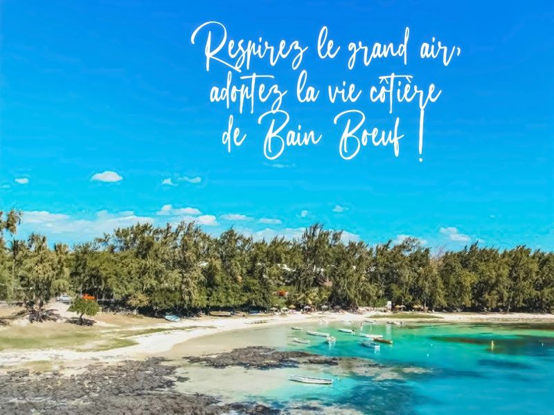 Bain Boeuf Appartement 1 pièce 46 m² Vente