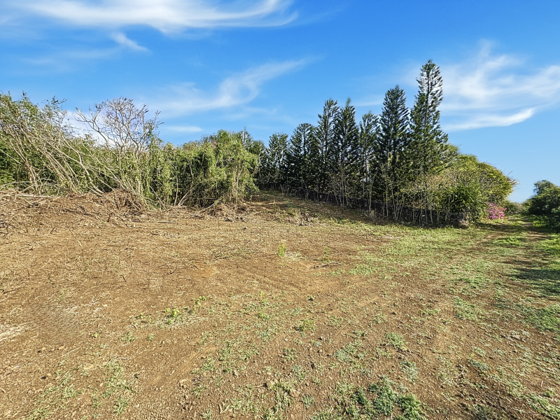 terrain en vente sur Grand Baie Grand Baie Terrain 1.5 ha Vente