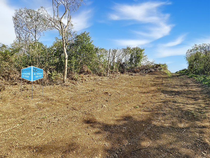 terrain en vente sur Grand Baie Grand Baie Terrain 1.5 ha Vente