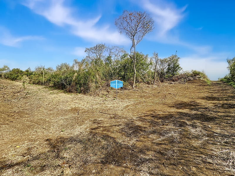 terrain en vente sur Grand Baie Grand Baie Terrain 1.5 ha Vente