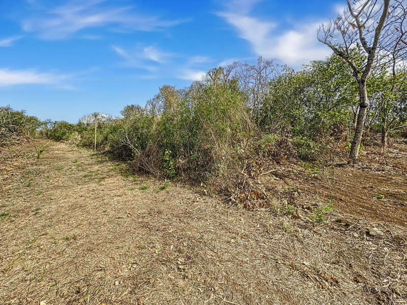 terrain en vente sur Grand Baie Grand Baie Terrain 1.5 ha Vente