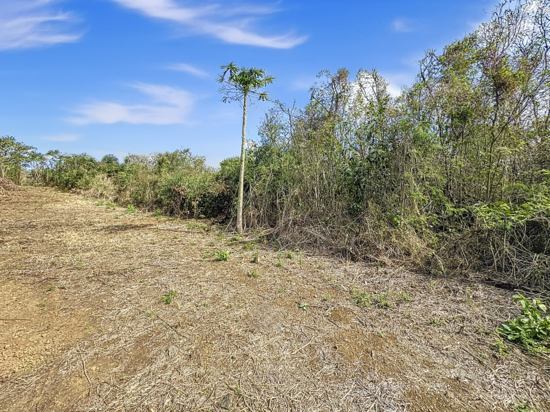 terrain en vente sur Grand Baie Grand Baie Terrain 1.5 ha Vente