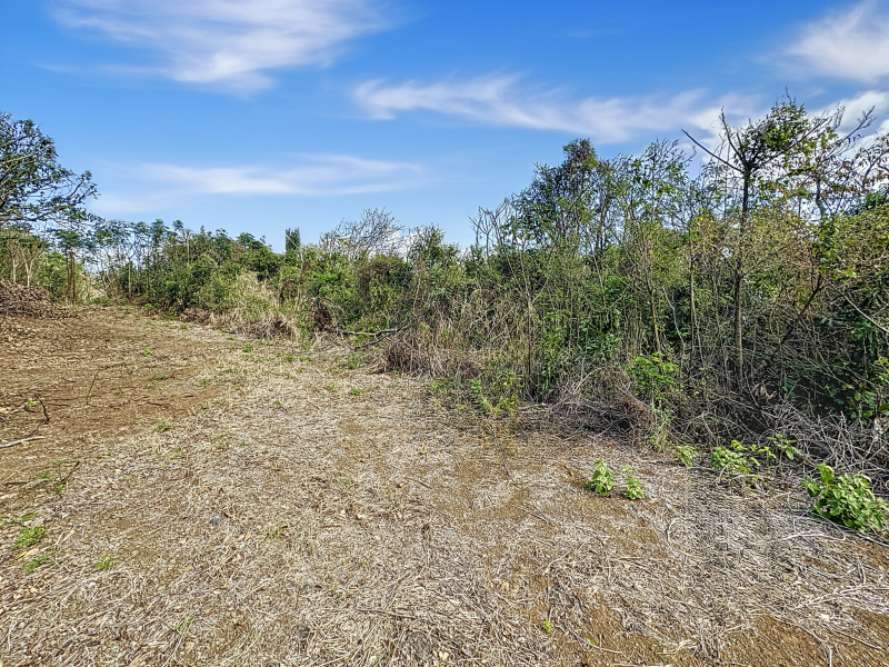 terrain en vente sur Grand Baie Grand Baie Terrain 1.5 ha Vente